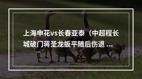 上海申花vs长春亚泰（中超程长城破门蒋圣龙扳平随后伤退 长春亚泰11上海申花）