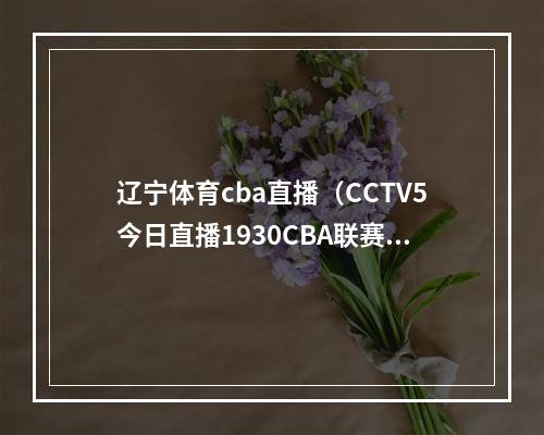 辽宁体育cba直播（CCTV5今日直播1930CBA联赛半决赛辽宁本钢浙江东阳光）