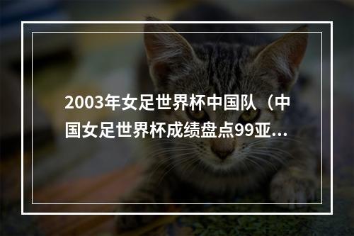 2003年女足世界杯中国队（中国女足世界杯成绩盘点99亚军永远的遗憾）