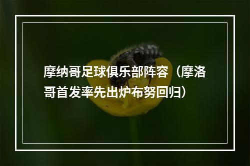 摩纳哥足球俱乐部阵容（摩洛哥首发率先出炉布努回归）