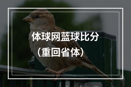 体球网蓝球比分（重回省体）