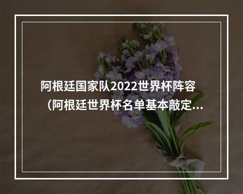 阿根廷国家队2022世界杯阵容（阿根廷世界杯名单基本敲定仅剩3个悬念）