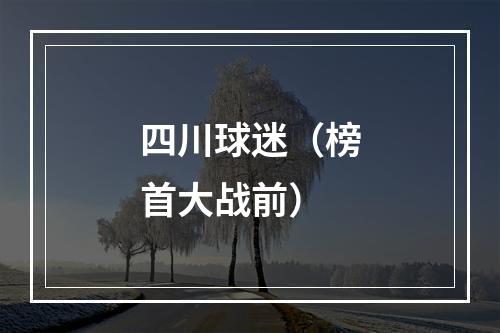 四川球迷（榜首大战前）