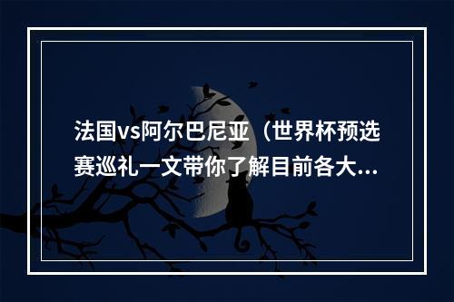 法国vs阿尔巴尼亚（世界杯预选赛巡礼一文带你了解目前各大洲世预赛最新战况）