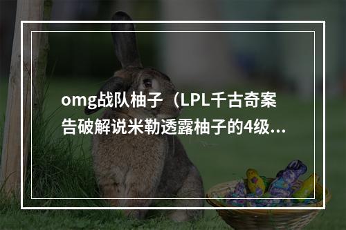 omg战队柚子（LPL千古奇案告破解说米勒透露柚子的4级潘森）