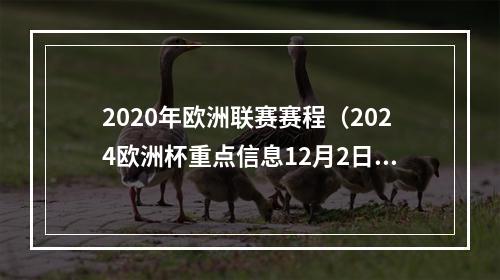 2020年欧洲联赛赛程（2024欧洲杯重点信息12月2日抽签 明年7月14日踢决赛）