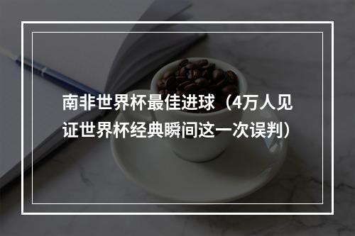 南非世界杯最佳进球（4万人见证世界杯经典瞬间这一次误判）