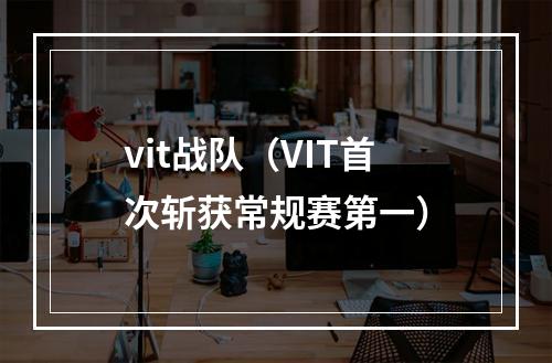 vit战队（VIT首次斩获常规赛第一）