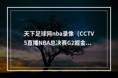 天下足球网nba录像（CCTV5直播NBA总决赛G2掘金PK热火天下足球）