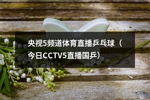 央视5频道体育直播乒乓球（今日CCTV5直播国乒）