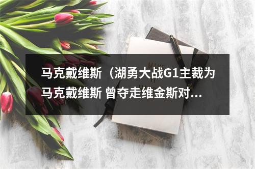 马克戴维斯（湖勇大战G1主裁为马克戴维斯 曾夺走维金斯对东契奇的隔扣）