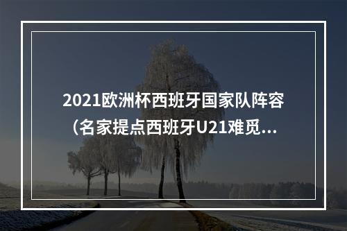 2021欧洲杯西班牙国家队阵容（名家提点西班牙U21难觅对手）