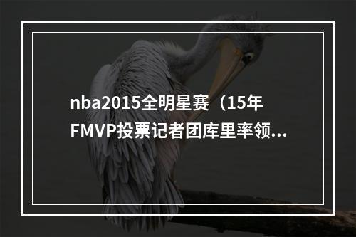 nba2015全明星赛（15年FMVP投票记者团库里率领勇士夺冠 但一哥改变了系列赛）