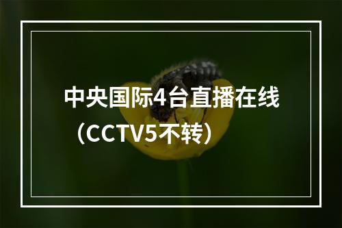 中央国际4台直播在线（CCTV5不转）