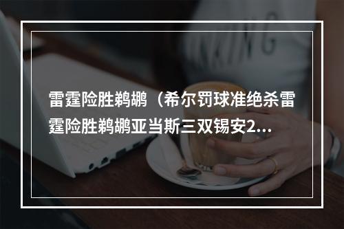 雷霆险胜鹈鹕（希尔罚球准绝杀雷霆险胜鹈鹕亚当斯三双锡安29分）