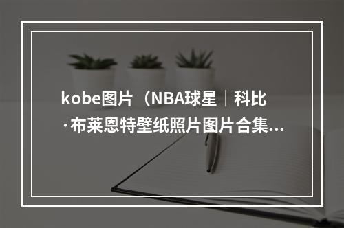 kobe图片（NBA球星｜科比·布莱恩特壁纸照片图片合集34张）