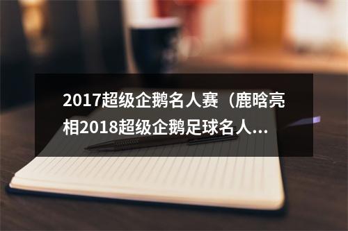 2017超级企鹅名人赛（鹿晗亮相2018超级企鹅足球名人赛 备受足坛大咖宠爱）