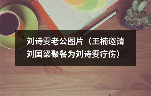 刘诗雯老公图片（王楠邀请刘国梁聚餐为刘诗雯疗伤）