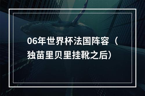 06年世界杯法国阵容（独苗里贝里挂靴之后）