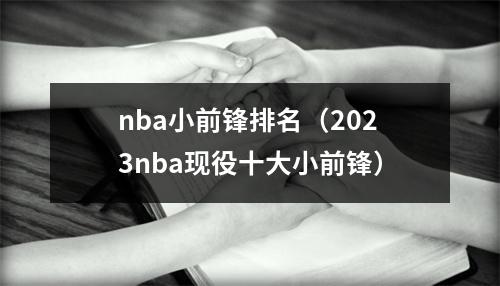 nba小前锋排名（2023nba现役十大小前锋）