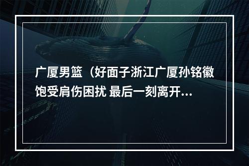 广厦男篮（好面子浙江广厦孙铭徽饱受肩伤困扰 最后一刻离开男篮）