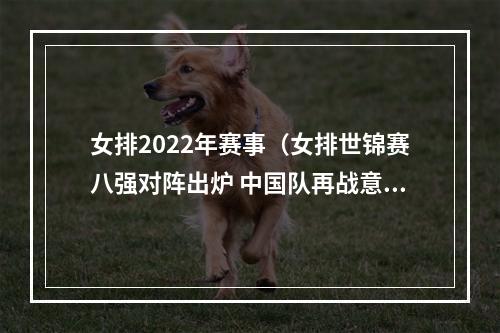 女排2022年赛事（女排世锦赛八强对阵出炉 中国队再战意大利队）