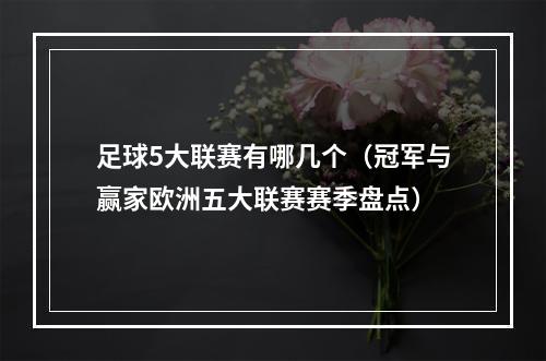 足球5大联赛有哪几个（冠军与赢家欧洲五大联赛赛季盘点）