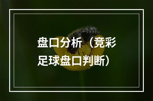 盘口分析（竞彩足球盘口判断）