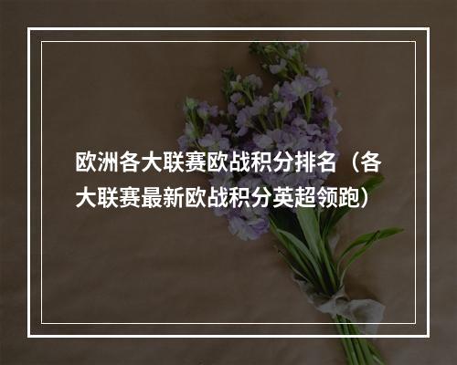 欧洲各大联赛欧战积分排名（各大联赛最新欧战积分英超领跑）