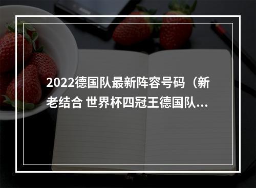 2022德国队最新阵容号码（新老结合 世界杯四冠王德国队公布大名单）