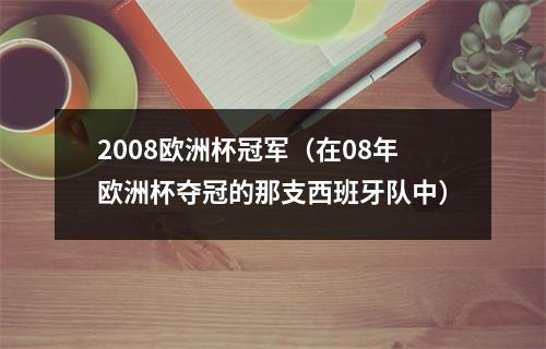 2008欧洲杯冠军（在08年欧洲杯夺冠的那支西班牙队中）