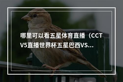 哪里可以看五星体育直播（CCTV5直播世界杯五星巴西VS克罗地亚）