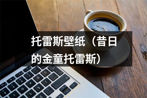 托雷斯壁纸（昔日的金童托雷斯）