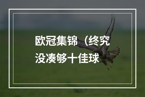 欧冠集锦（终究没凑够十佳球