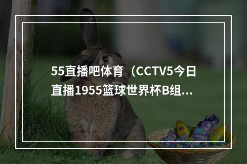 55直播吧体育（CCTV5今日直播1955篮球世界杯B组波多黎各塞尔维亚）