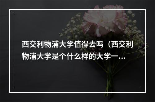 西交利物浦大学值得去吗（西交利物浦大学是个什么样的大学一年的学费要8万8有啥优势）