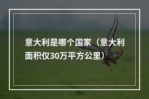 意大利是哪个国家（意大利面积仅30万平方公里）