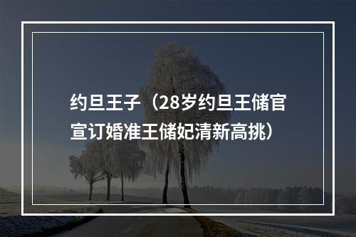 约旦王子（28岁约旦王储官宣订婚准王储妃清新高挑）