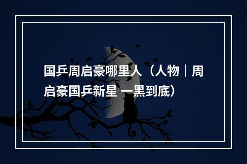 国乒周启豪哪里人（人物｜周启豪国乒新星 一黑到底）