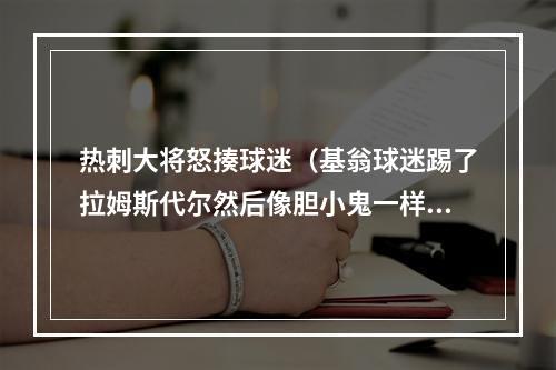 热刺大将怒揍球迷（基翁球迷踢了拉姆斯代尔然后像胆小鬼一样逃跑）