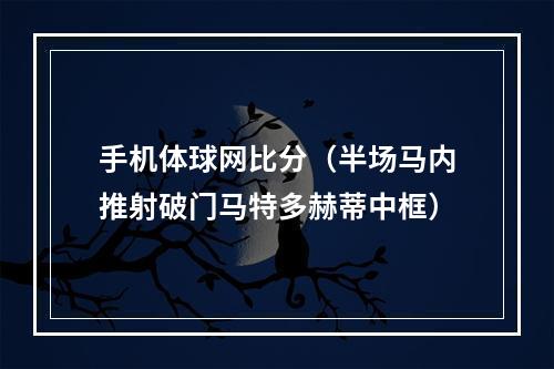 手机体球网比分（半场马内推射破门马特多赫蒂中框）