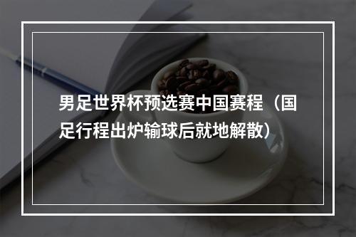 男足世界杯预选赛中国赛程（国足行程出炉输球后就地解散）