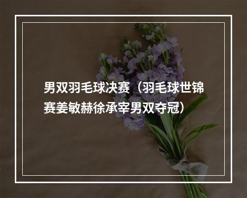 男双羽毛球决赛（羽毛球世锦赛姜敏赫徐承宰男双夺冠）