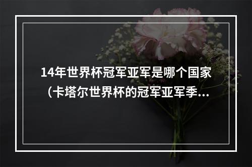 14年世界杯冠军亚军是哪个国家（卡塔尔世界杯的冠军亚军季军和殿军）