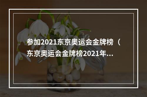 参加2021东京奥运会金牌榜（东京奥运会金牌榜2021年8月5日）