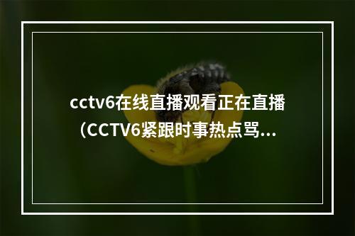 cctv6在线直播观看正在直播（CCTV6紧跟时事热点骂人不带脏字）