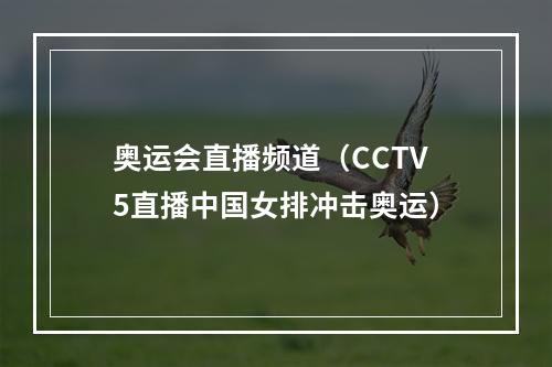 奥运会直播频道（CCTV5直播中国女排冲击奥运）