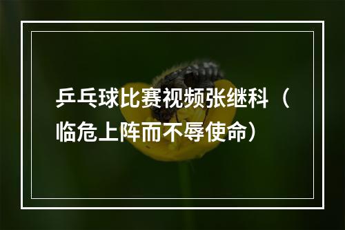 乒乓球比赛视频张继科（临危上阵而不辱使命）