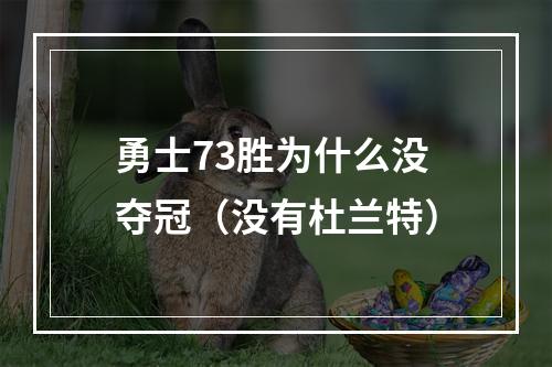 勇士73胜为什么没夺冠（没有杜兰特）