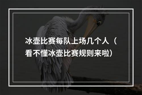 冰壶比赛每队上场几个人（看不懂冰壶比赛规则来啦）